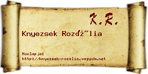 Knyezsek Rozália névjegykártya